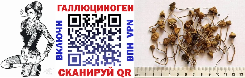 Галлюциногенные грибы Psilocybe  shop формула  Сарапул 